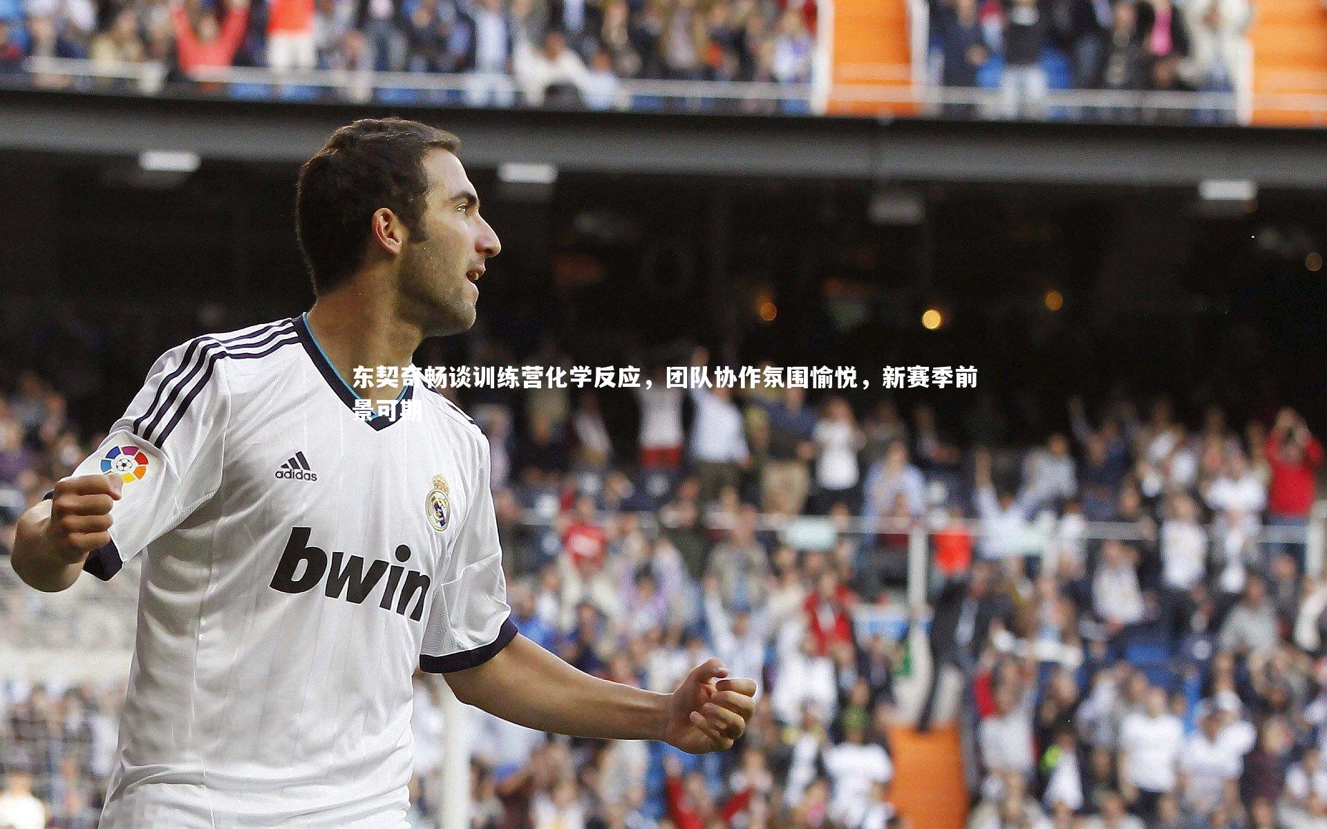 东契奇畅谈训练营化学反应,团队协作氛围愉悦,新赛季前景可期